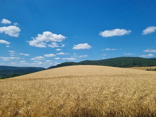 krásná krajina
